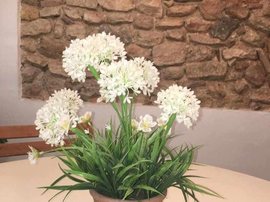 Apartament De La Susanna Old Town Mezzanine Tarragona Eksteriør bilde